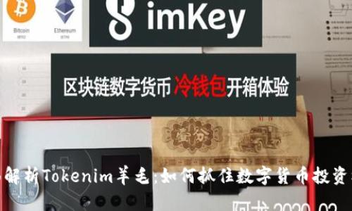 全面解析Tokenim羊毛：如何抓住数字货币投资机会