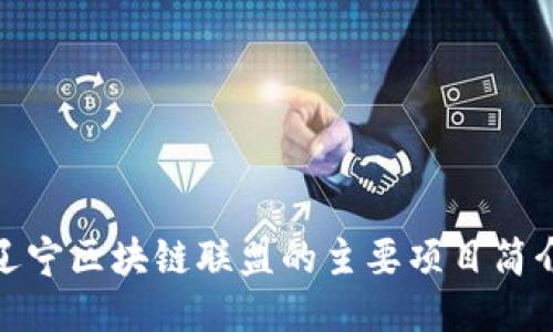 辽宁区块链联盟的主要项目简介