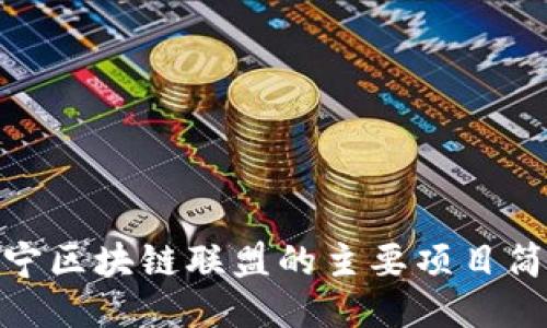 辽宁区块链联盟的主要项目简介