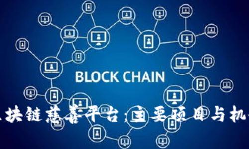 探索区块链慈善平台：主要项目与机会分析