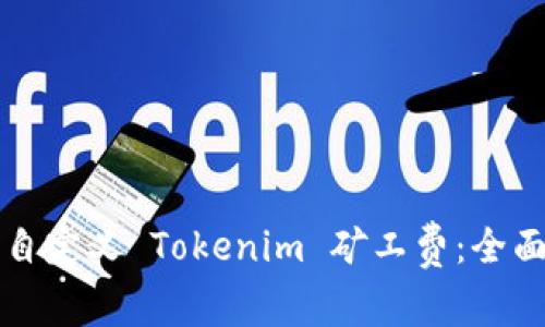 如何自定义 Tokenim 矿工费：全面指南