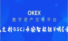 TokenTokenIM钱包支持BSC（币