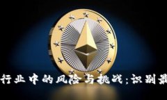 区块链行业中的风险与挑