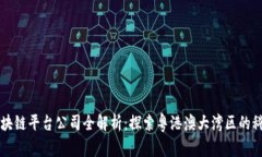 广州区块链平台公司全解