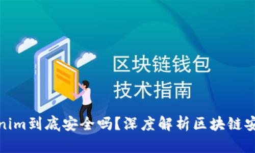 Tokenim到底安全吗？深度解析区块链安全性