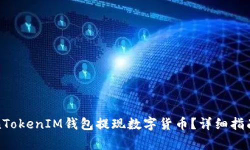 如何从TokenTokenIM钱包提现数字货币？详细指南与注意事项