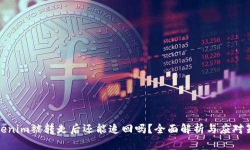 Tokenim被转走后还能追回吗？全面解析与应对策略
