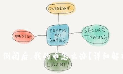 Tokenim公司倒闭后，我的币怎么办？详细解析与应对措施