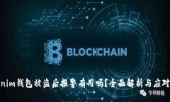 Tokenim钱包被盗后报警有用