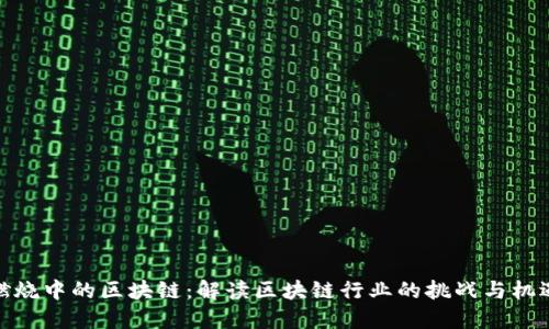 燃烧中的区块链：解读区块链行业的挑战与机遇