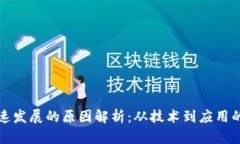 区块链快速发展的原因解