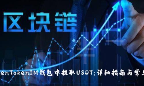 如何在TokenTokenIM钱包中提取USDT：详细指南与常见问题解答