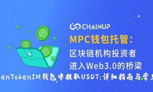 如何在TokenTokenIM钱包中提取USDT：详细指南与常见问题解答