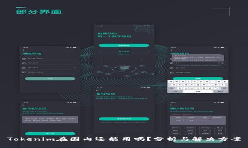 Tokenim在国内还能用吗？分析与解决方案