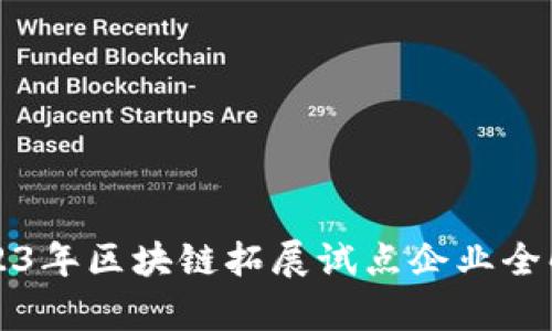 2023年区块链拓展试点企业全解析