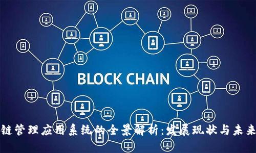 区块链管理应用系统的全景解析：发展现状与未来趋势
