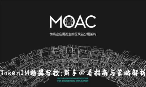TokenIM糖果分投：新手必看指南与策略解析