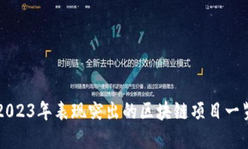 2023年表现突出的区块链项目一览