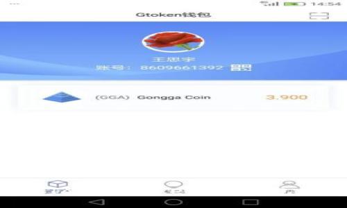 如何安全使用TokenTokenIM钱包公钥：全面指南
