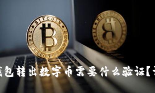 从Tokenim钱包转出数字币需要什么验证？详解转账流程