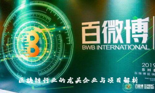区块链行业的龙头企业与项目解析