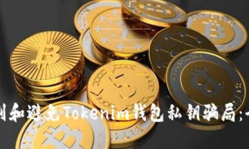 如何识别和避免Tokenim钱包私钥骗局：全面指南