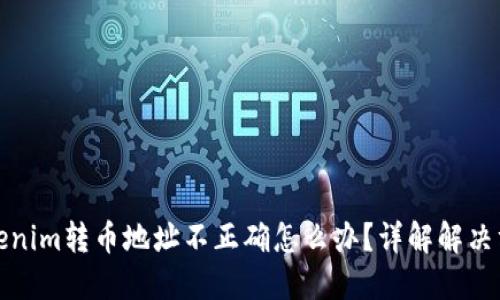 Tokenim转币地址不正确怎么办？详解解决方案