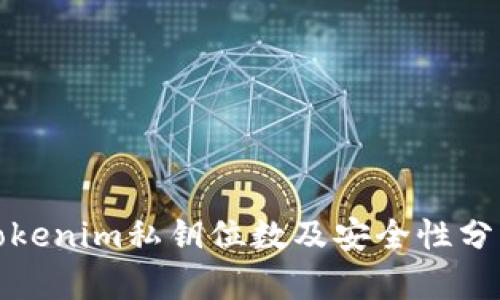 Tokenim私钥位数及安全性分析
