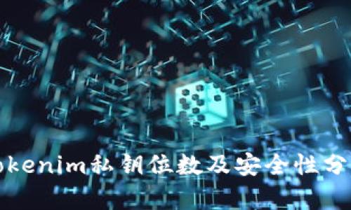 Tokenim私钥位数及安全性分析