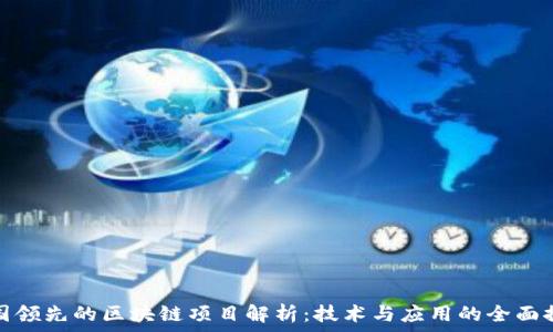   
中国领先的区块链项目解析：技术与应用的全面探讨
