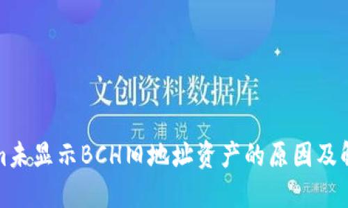Tokenim未显示BCH旧地址资产的原因及解决方案