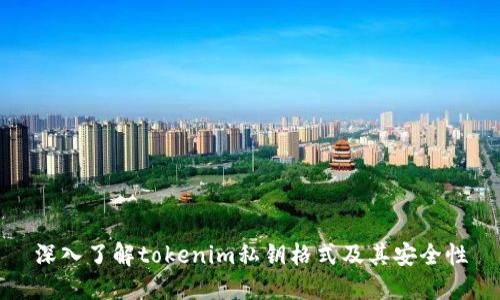 深入了解tokenim私钥格式及其安全性