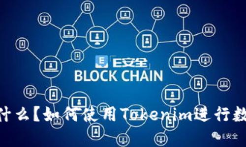 Tokenim是什么？如何使用Tokenim进行数字资产管理