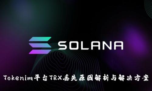 Tokenim平台TRX丢失原因解析与解决方案