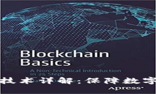区块链隐私保护技术详解：保障数字资产安全的关键