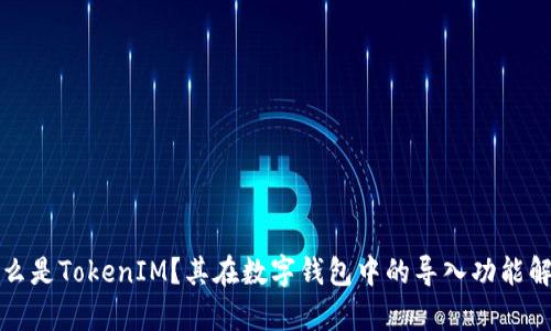 什么是TokenIM？其在数字钱包中的导入功能解析