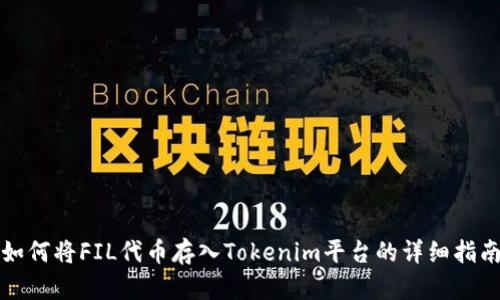 如何将FIL代币存入Tokenim平台的详细指南