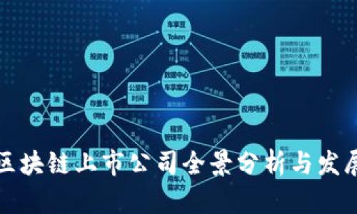 中国区块链上市公司全景分析与发展趋势