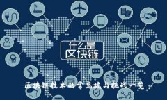 区块链技术的常见坑与挑