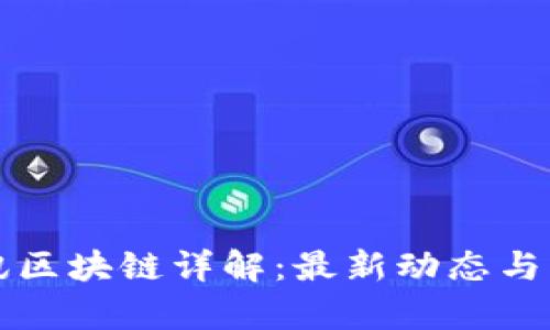 龙南资讯区块链详解：最新动态与应用前景