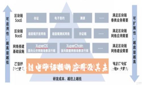 区块链电子证据的应用及其未来发展