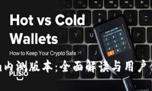Tokenim内测版本：全面解读与用户体验分享