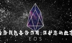 Tokenim身份钱包备份作用：保护您的数字资产安全