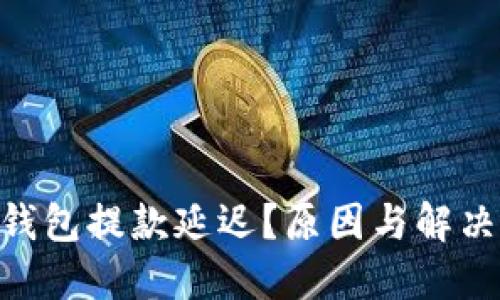 Tokenim钱包提款延迟？原因与解决方案详解