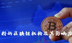 国家支持的区块链机构及其影响力全解析