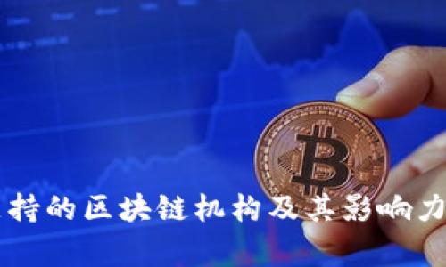 国家支持的区块链机构及其影响力全解析