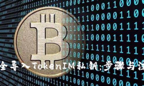 如何安全导入TokenIM私钥：步骤与注意事项