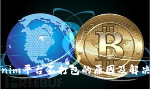 Tokenim平台不打包的原因及解决方案